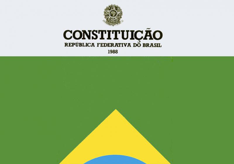 BAIXE MATERIAL EM PDF DE DIREITO CONSTITUCIONAL 