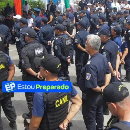 Relacionada